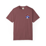Charlottesville Postage Stamp Unisex Garment-Dyed T-shirt